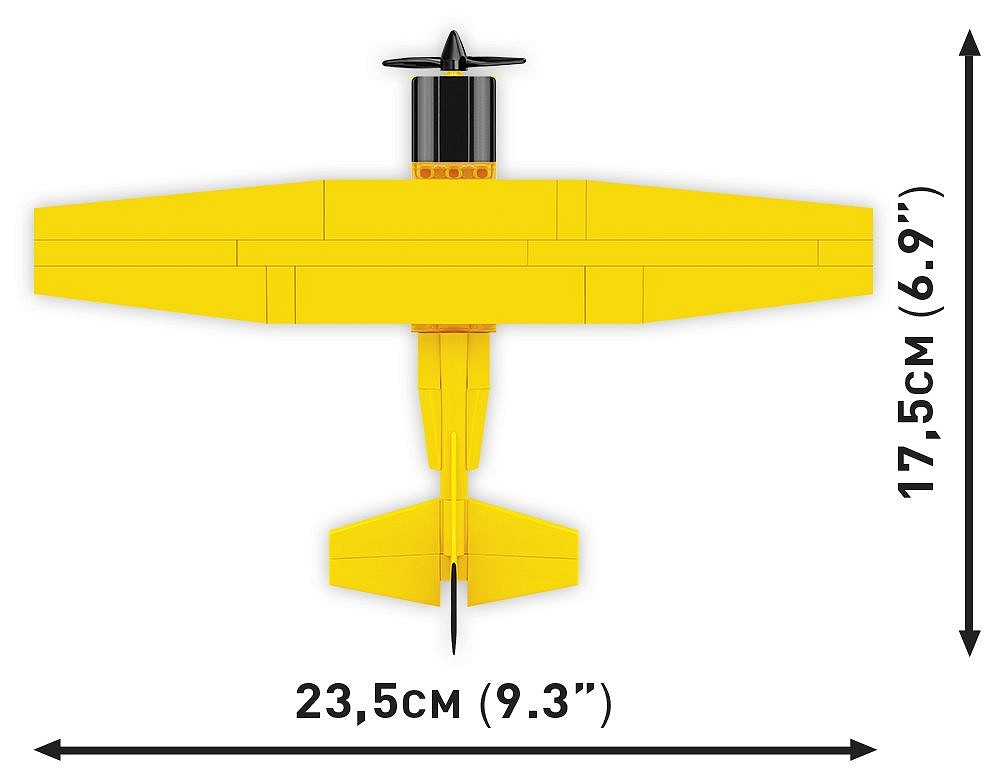 Cessna 172 Skyhawk-Yellow - fot. 7