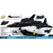 Lockheed SR-71 Blackbird - fot. 6