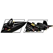 Lockheed SR-71 Blackbird - Executive Edition - fot. 9