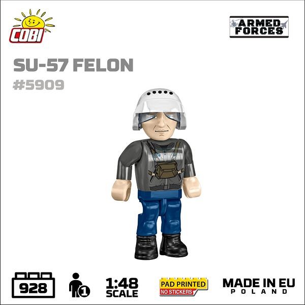 5909d.jpg [33.23 KB]