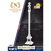 Nelson's Column - fot. 2